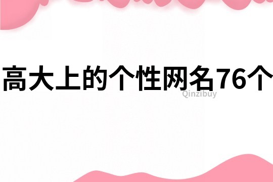 高大上的个性网名76个