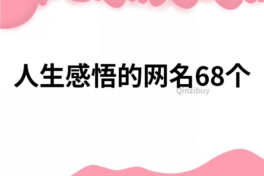 人生感悟的网名68个