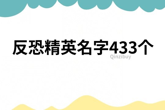 反恐精英名字433个