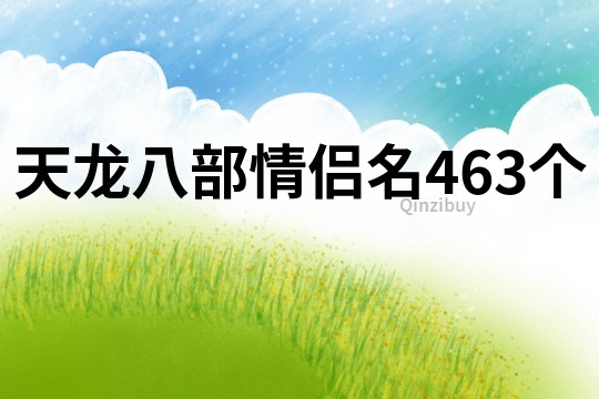 天龙八部情侣名463个