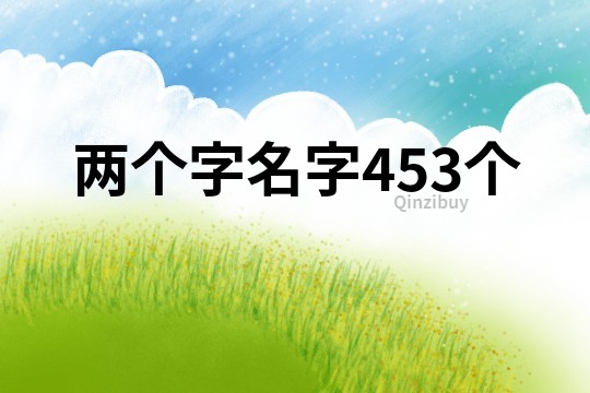 两个字名字453个