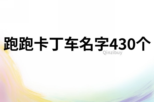 跑跑卡丁车名字430个