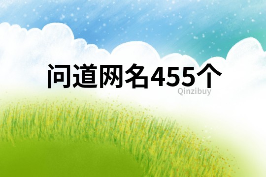 问道网名455个