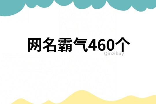 网名霸气460个