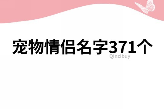 宠物情侣名字371个
