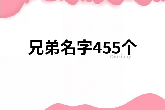 兄弟名字455个